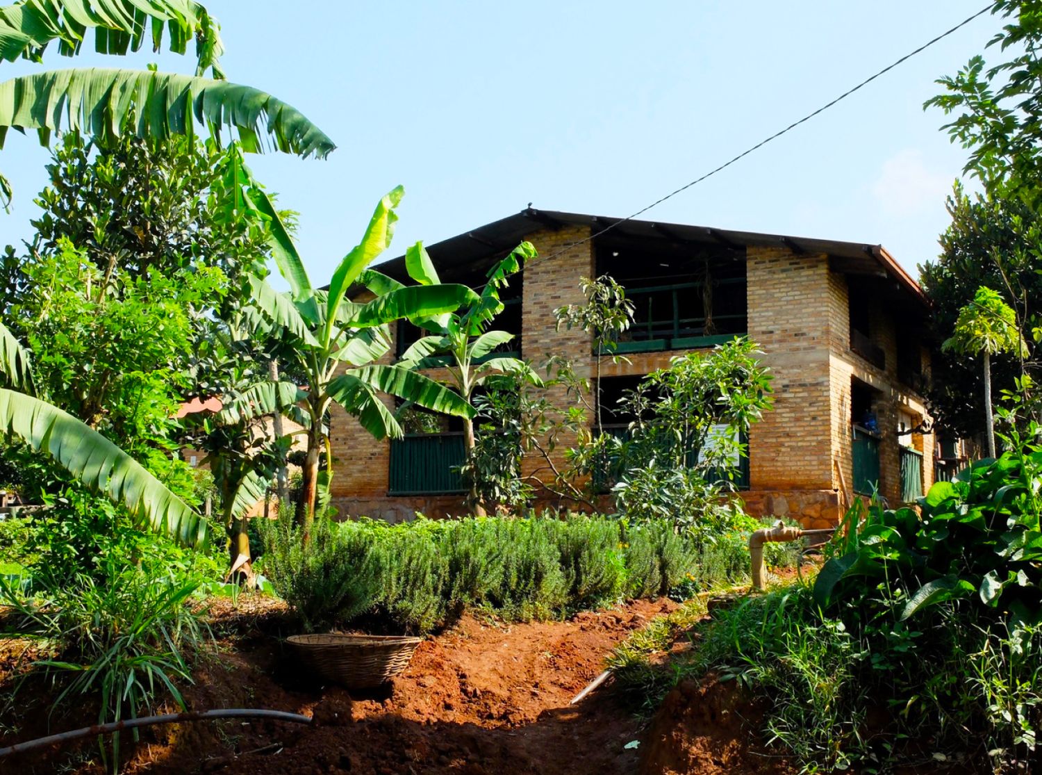 Bâtiment en briques de la Ferme du Lac entouré de bananiers et de jardins, à Rurenge au Rwanda